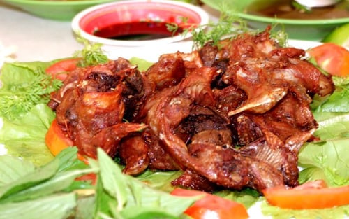 150639695463896-chuot-dong-quay-lu3