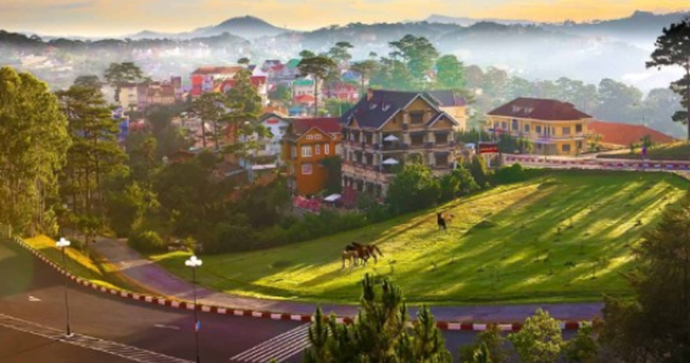 Picture7